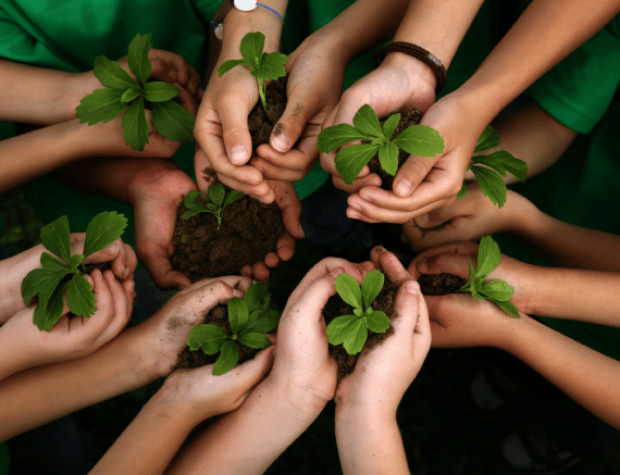 Um pedido para pastores: Preguem também sobre eco-teologia